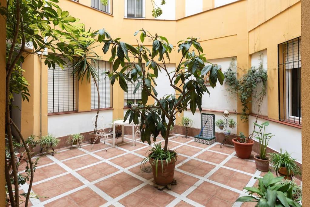 Mia Suite. Center Of 塞维利亚 外观 照片